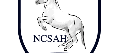 NCSAH