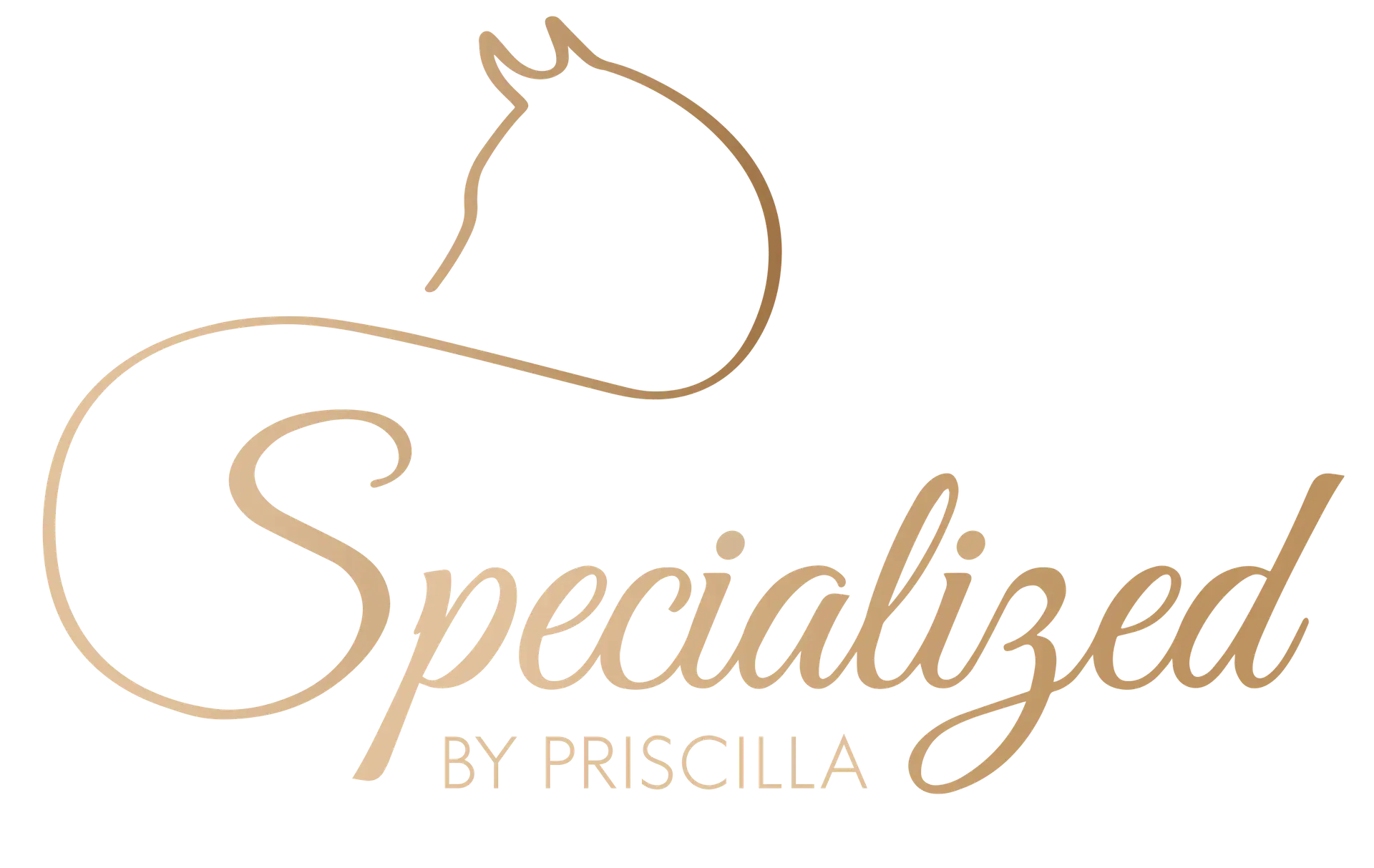 Logo voor op de website: Logo-Specialized